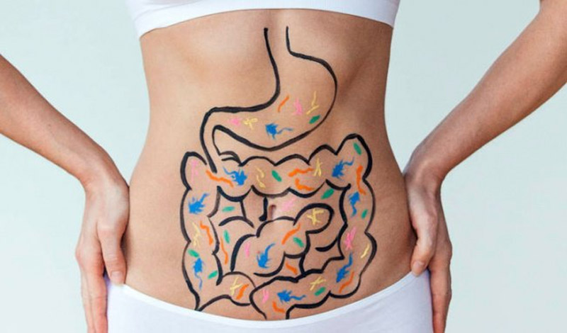 Công dụng của dưa lưới rất tốt cho hệ tiêu hóa