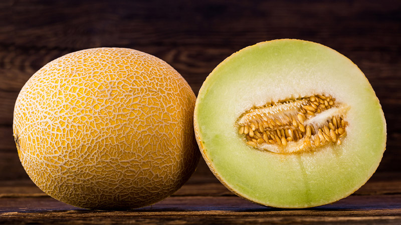 Dưa lưới Gallia là một trong các loại dưa lưới được ưa chuộng làm món tráng miệng