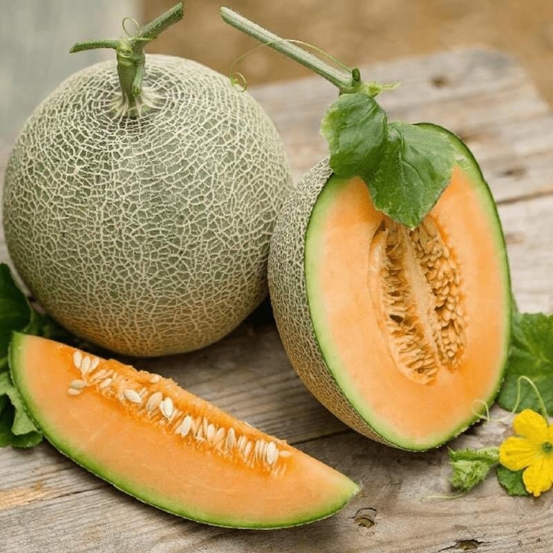BiFarm cam kết mang đến những quả dưa lưới chất lượng
