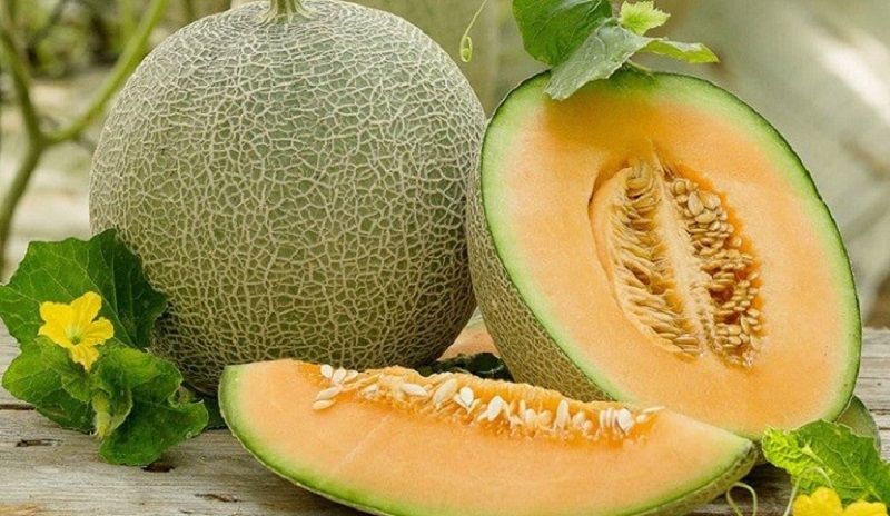 Dưa lưới ruột vàng mọng nước, giòn ngọt