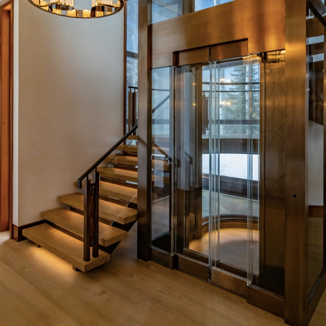 Thang máy gia đình 450kg - Giải pháp tiện ích và sang trọng cho không gian sống