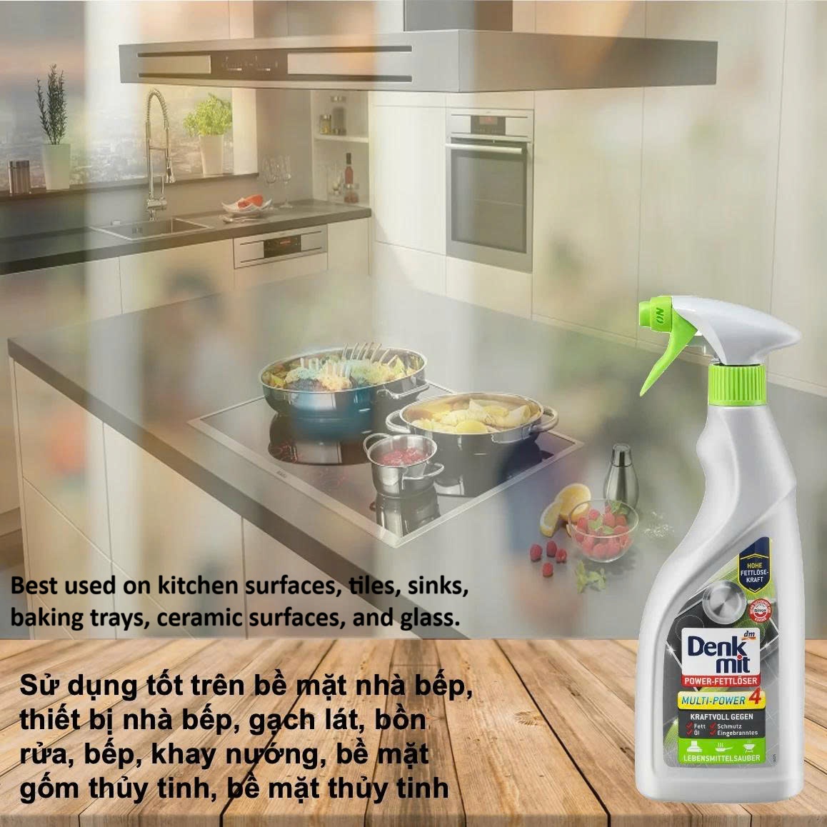 Xịt vệ sinh dầu mỡ nhà bếp đa năng Denkmit Fettreiniger Power - Chai 750ml