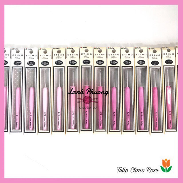 Kim Móc Tulip Etimo Rose Hồng