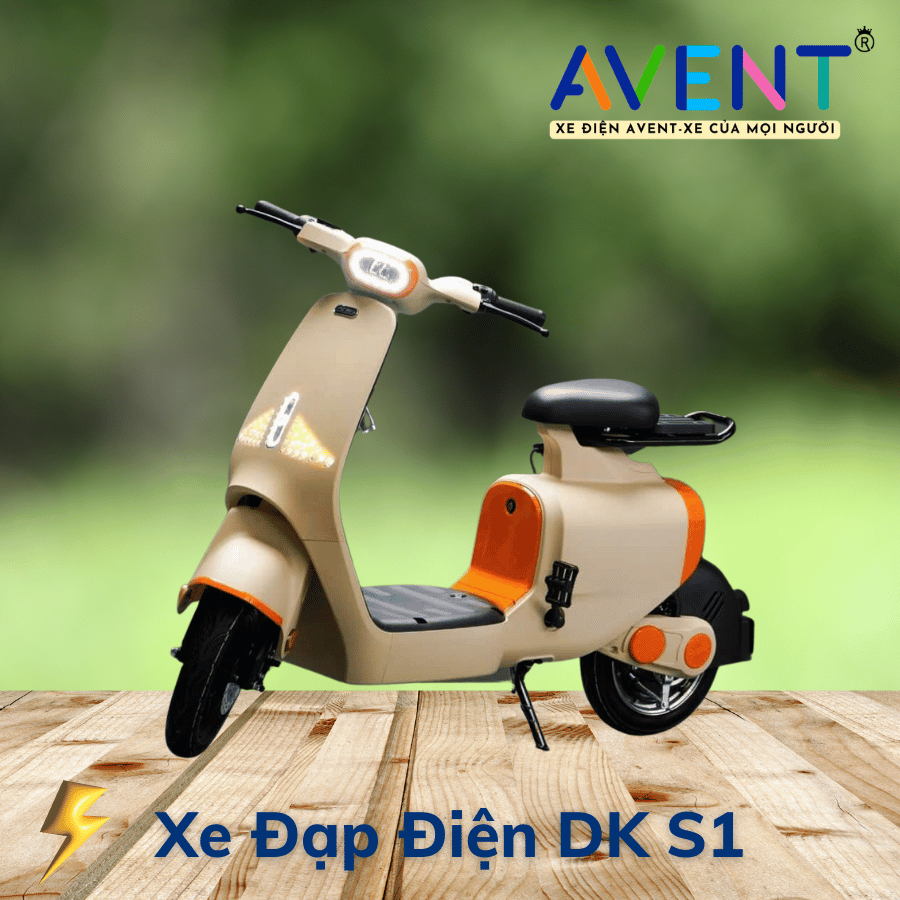 Xe Đạp Điện DK S1