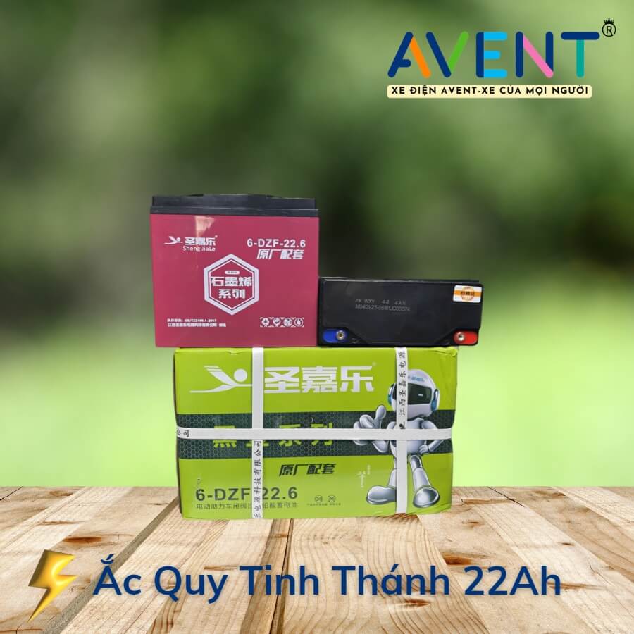 Ắc Quy Xe Đạp Điện Tinh Thánh 22AH