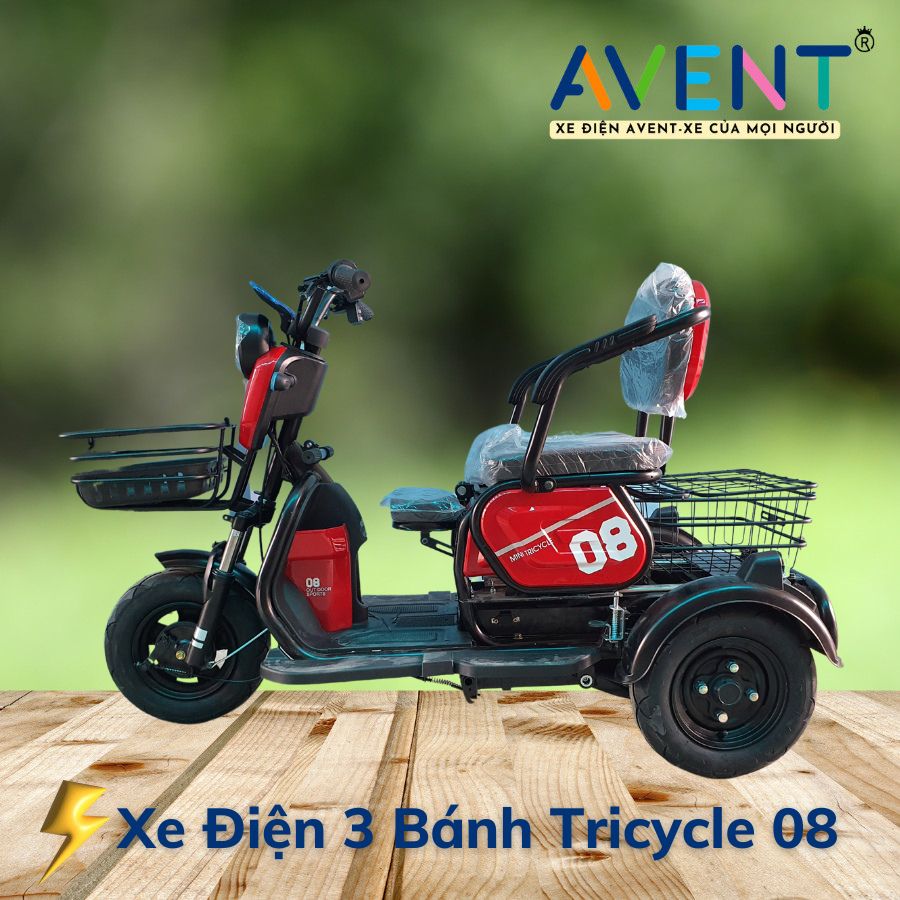 Xe Điện 3 Bánh Tricycle
