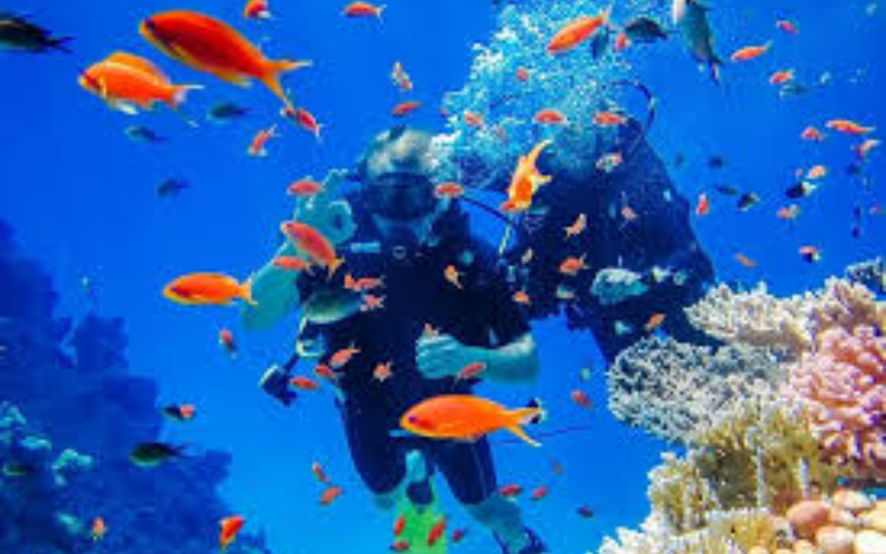 TRẢI NGHIỆM THIÊN ĐƯỜNG LẶN BIỂN TẠI ĐẢO HÒN MUN NHA TRANG
