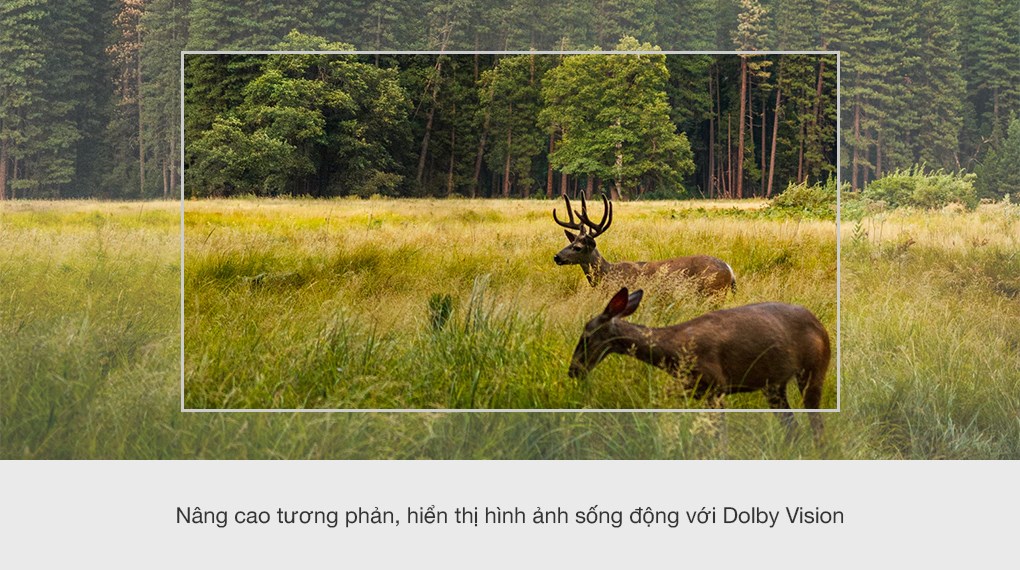 Android Tivi Sony KD-55X85J 4K 55 inch