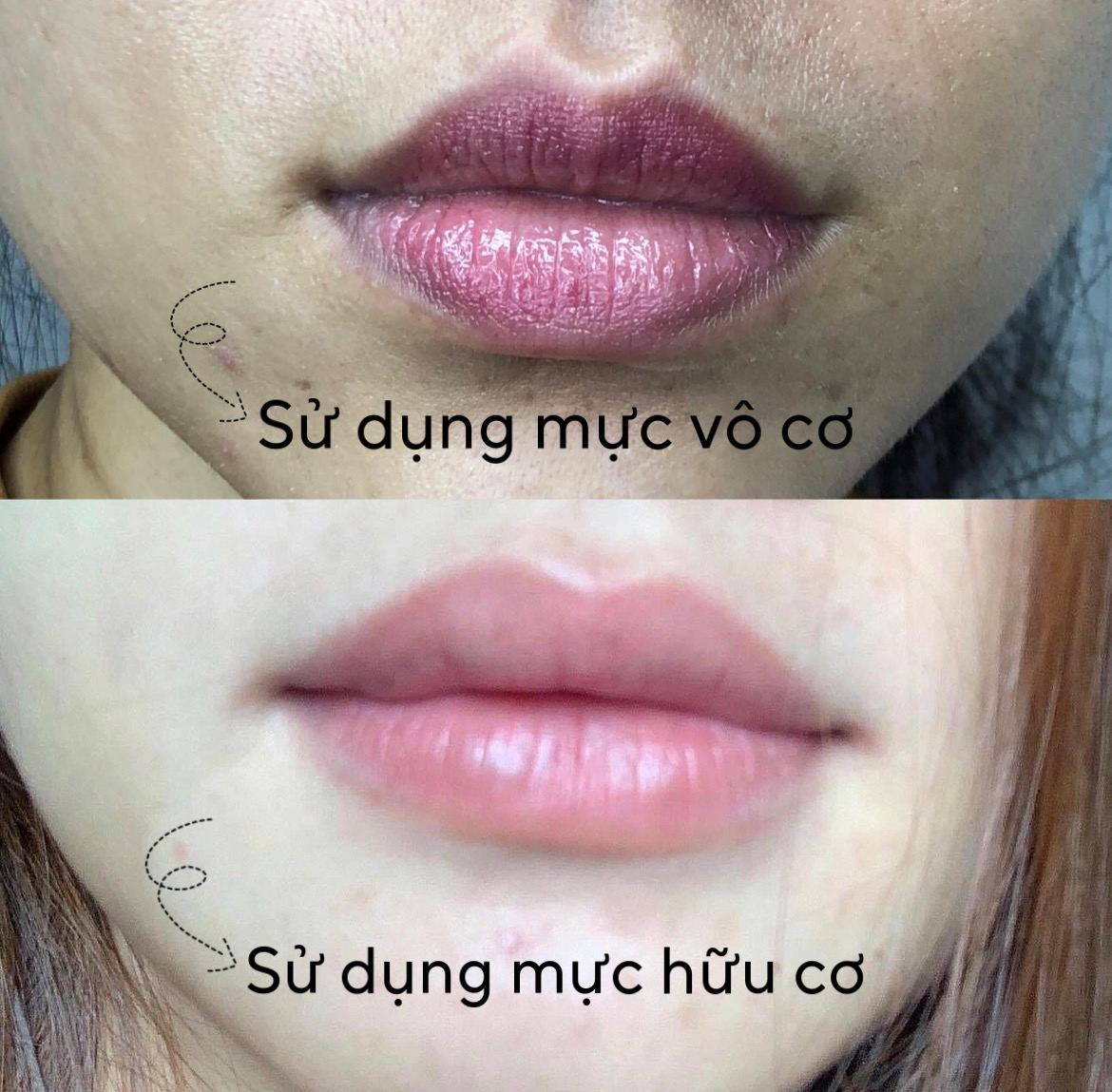 SỰ KHÁC BIỆT GIỮA MỰC VÔ CƠ VÀ HỮU CƠ