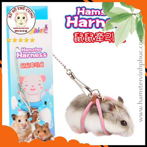 CÓ NÊN SỬ DỤNG DÂY DẮT CHO HAMSTER