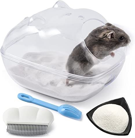 VÌ SAO KHÔNG NÊN TẮM CHO HAMSTER BẰNG NƯỚC