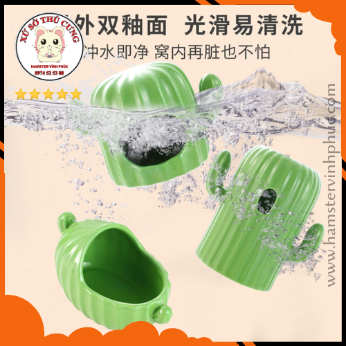 Bộ xương rồng xanh 4 món