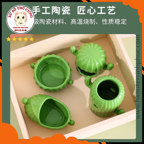 Bộ xương rồng xanh 4 món