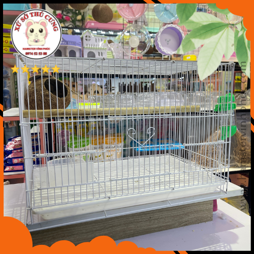 Lồng nuôi sóc