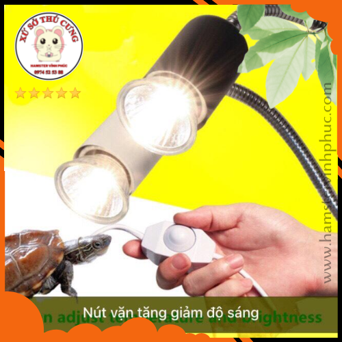 Đèn sưởi cho rùa- Bò sát