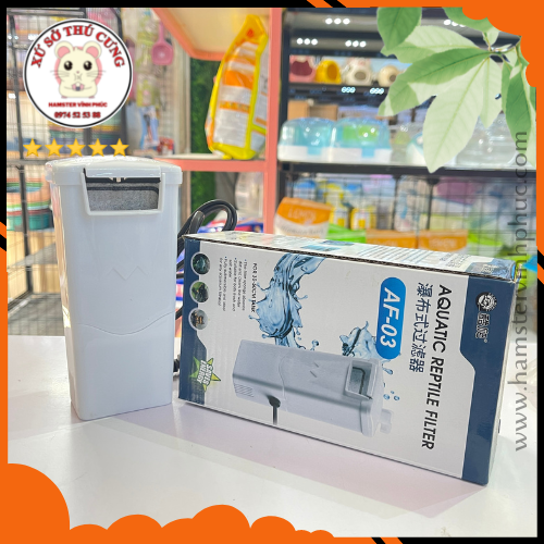 Máy lọc nước cho rùa