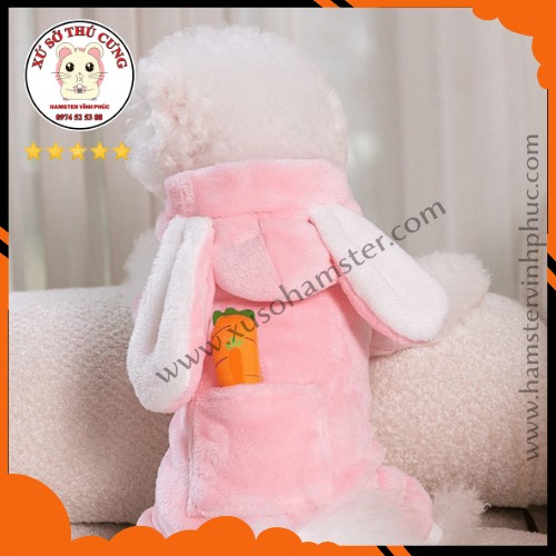 Áo chó mèo hình thỏ cà rốt