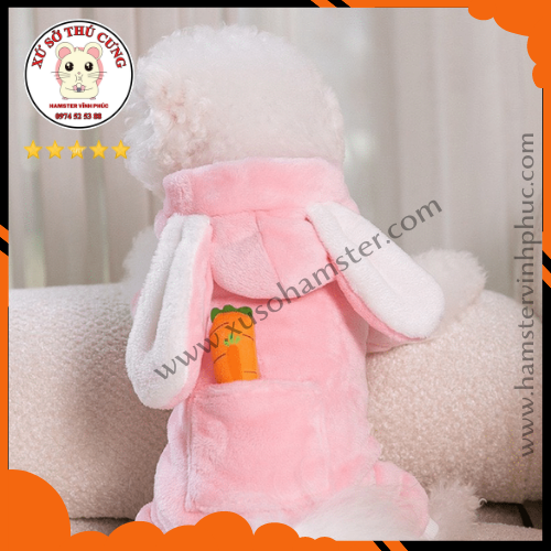 Áo chó mèo hình thỏ cà rốt