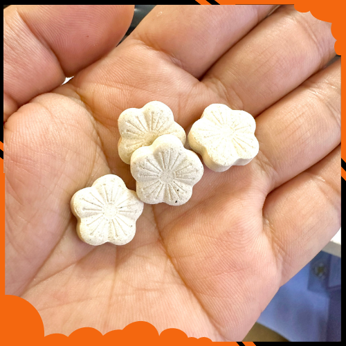 10 viên Canxi cho thú cưng nhỏ