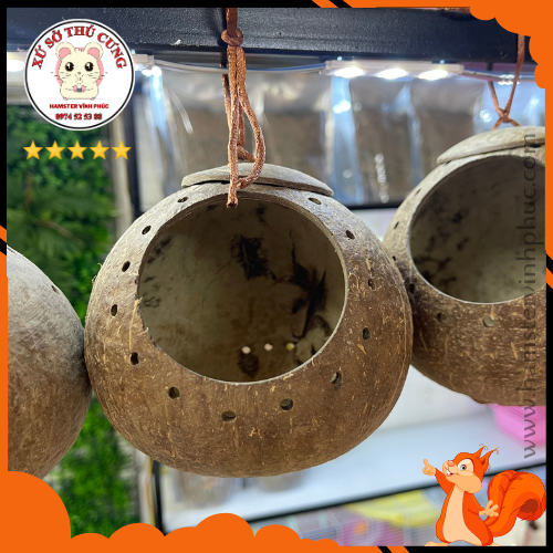 Nhà ngủ gáo dừa đục lỗ làm mịn