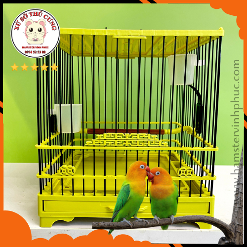 Lồng chim vuông kèm áo. Lồng chim khuyên