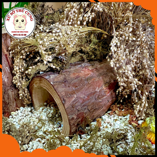 Hầm trú ẩn , hàng trú bằng gỗ mộc