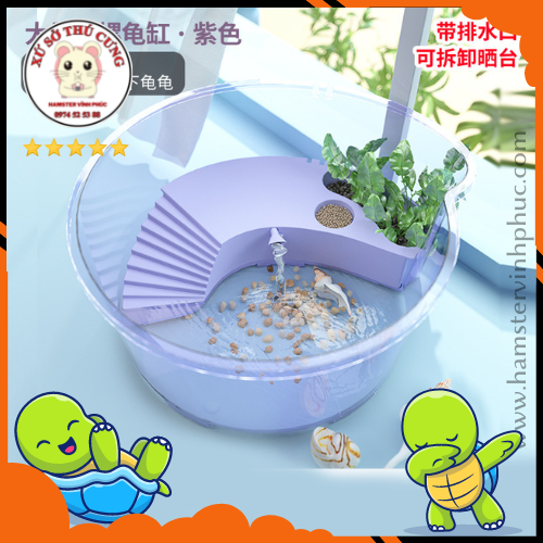 Bể nuôi rùa tròn trong