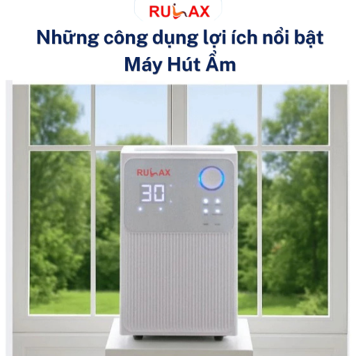 Máy hút ẩm là gì? Những công dụng lợi ích nổi bật máy hút ẩm đem lại có thể bạn chưa biết?