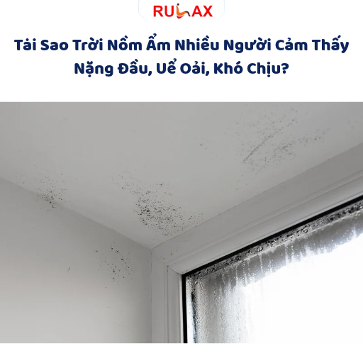 Tại Sao Trời Nồm Ẩm Nhiều Người Cảm Thấy Nặng Đầu, Uể Oải, Khó Chịu? Góc Nhìn Đông Y Và Khoa Học Hiện Đại