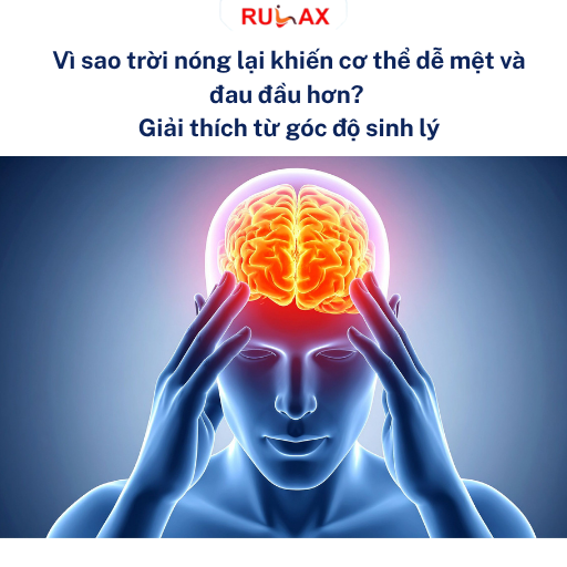 Vì sao trời nóng lại khiến cơ thể dễ mệt và đau đầu hơn? Giải thích từ góc độ sinh lý