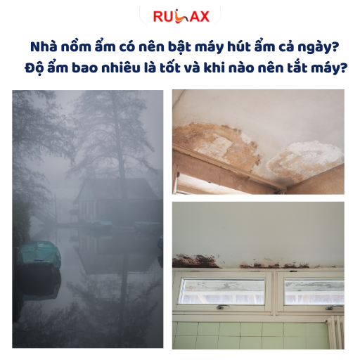 Nhà nồm ẩm có nên bật máy hút ẩm cả ngày? Độ ẩm bao nhiêu là tốt và khi nào nên tắt máy?