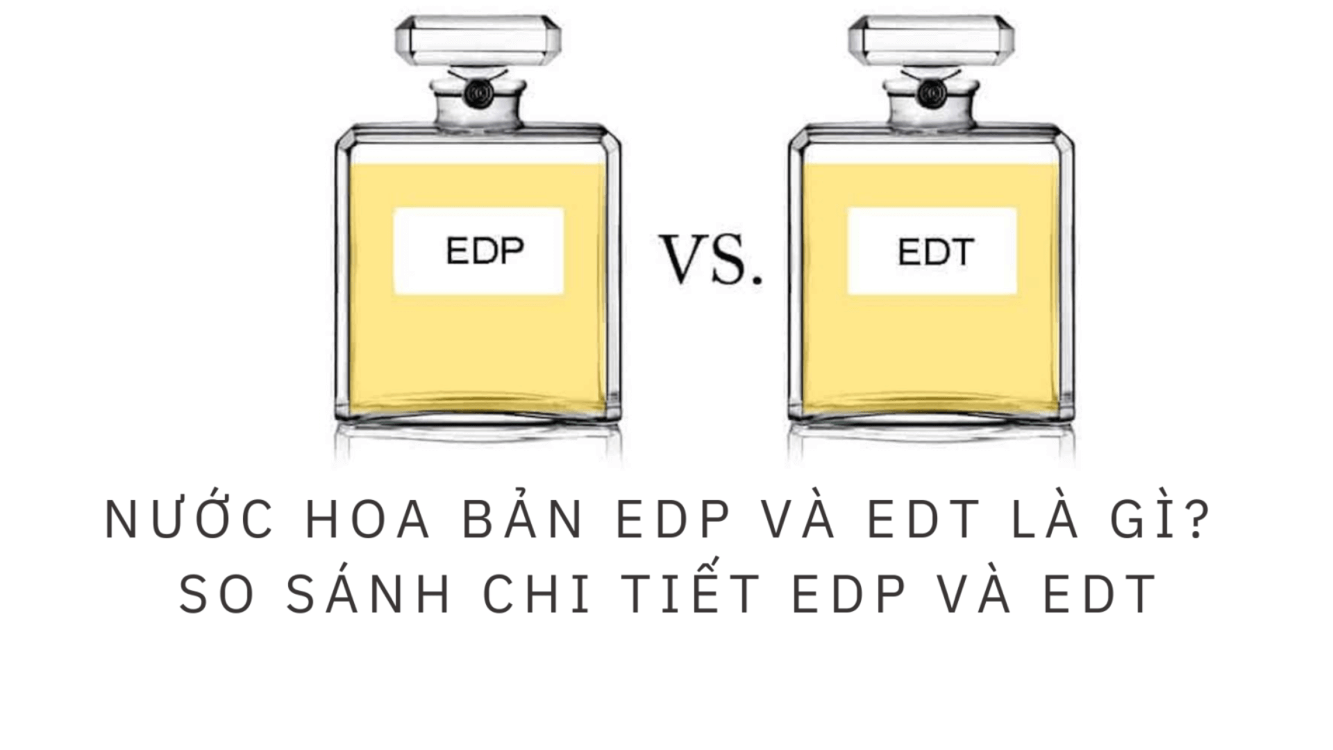 Sự Khác Biệt Giữa Nước Hoa EDT và EDP: Loại Nước Hoa Nào Phù Hợp Cho Bạn