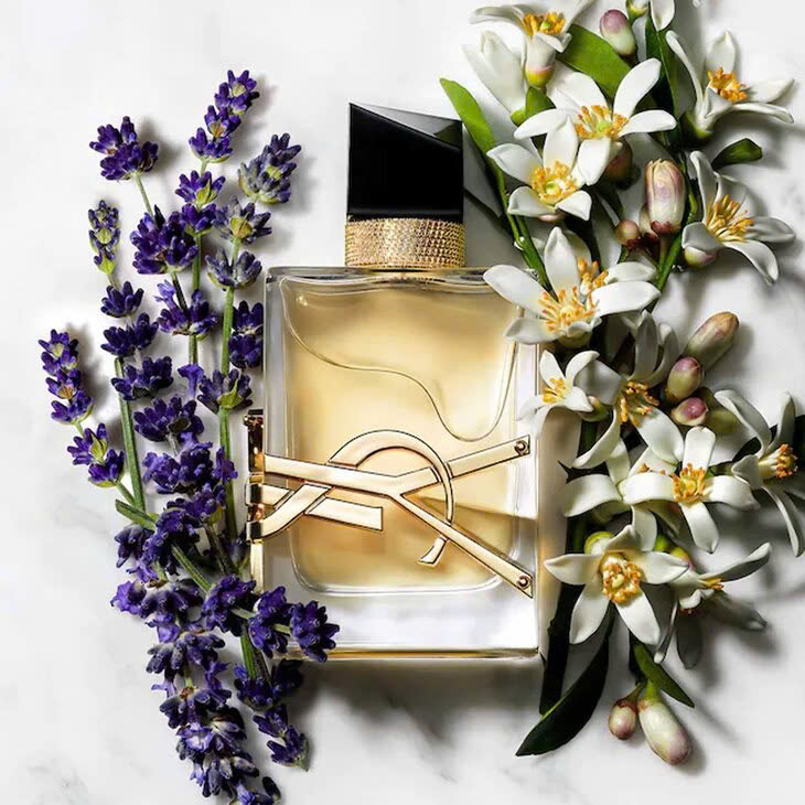  Yves Saint Laurent