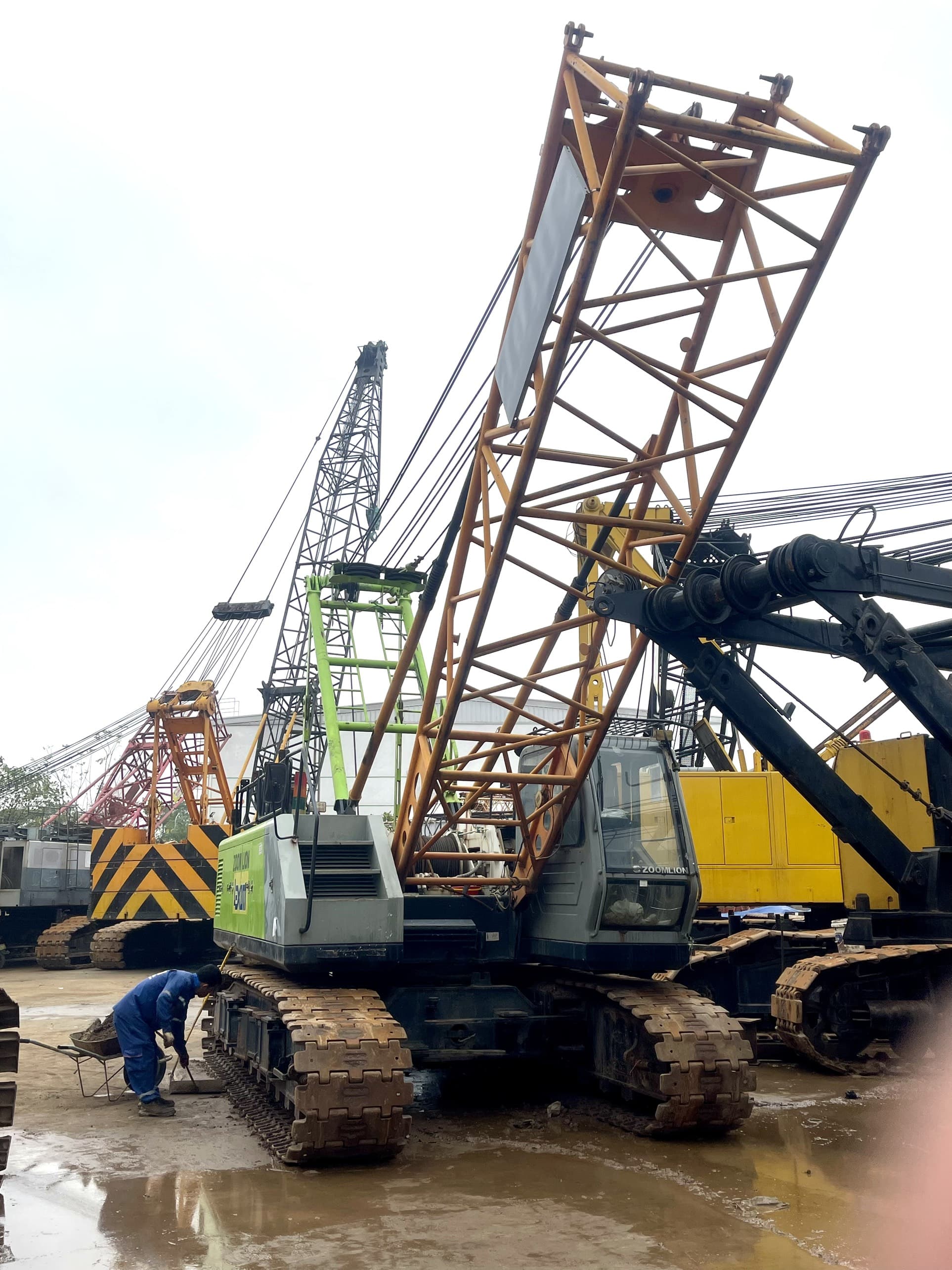 Cẩu xích 55 tấn Zoomlion ZCC550-0254 (2016) nhập khẩu từ Trung Quốc