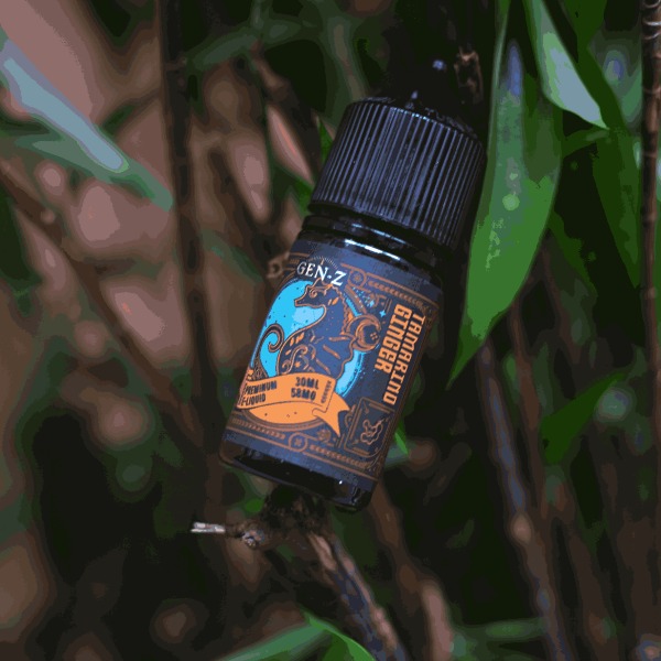 Tinh Dầu GEN Z Saltnic TAMARINO GINGER Me Gừng 30ml