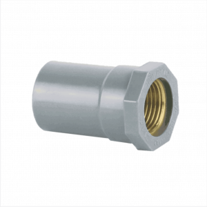 Ren trong đồng PVC