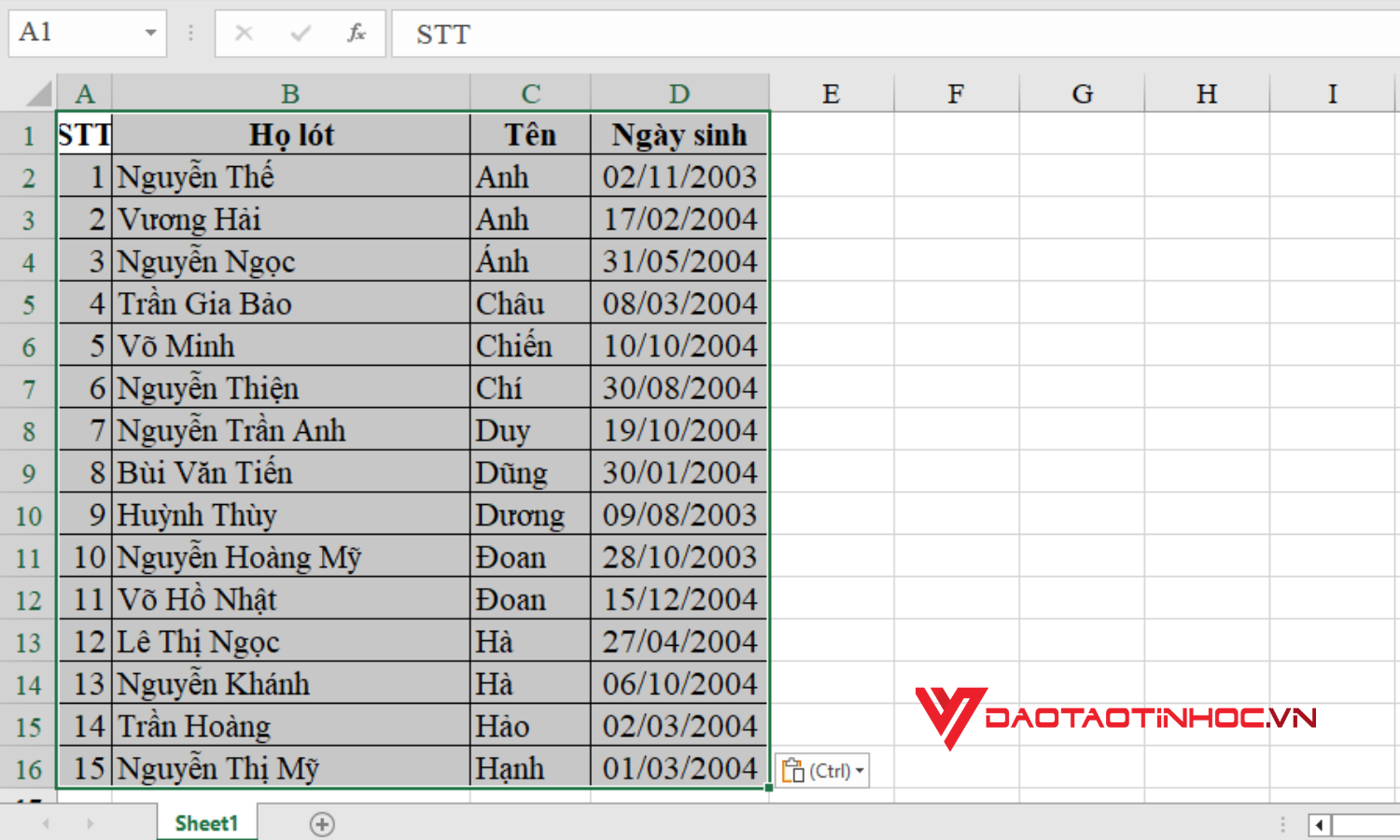 Cách copy Excel giữ nguyên định dạng - Kết quả