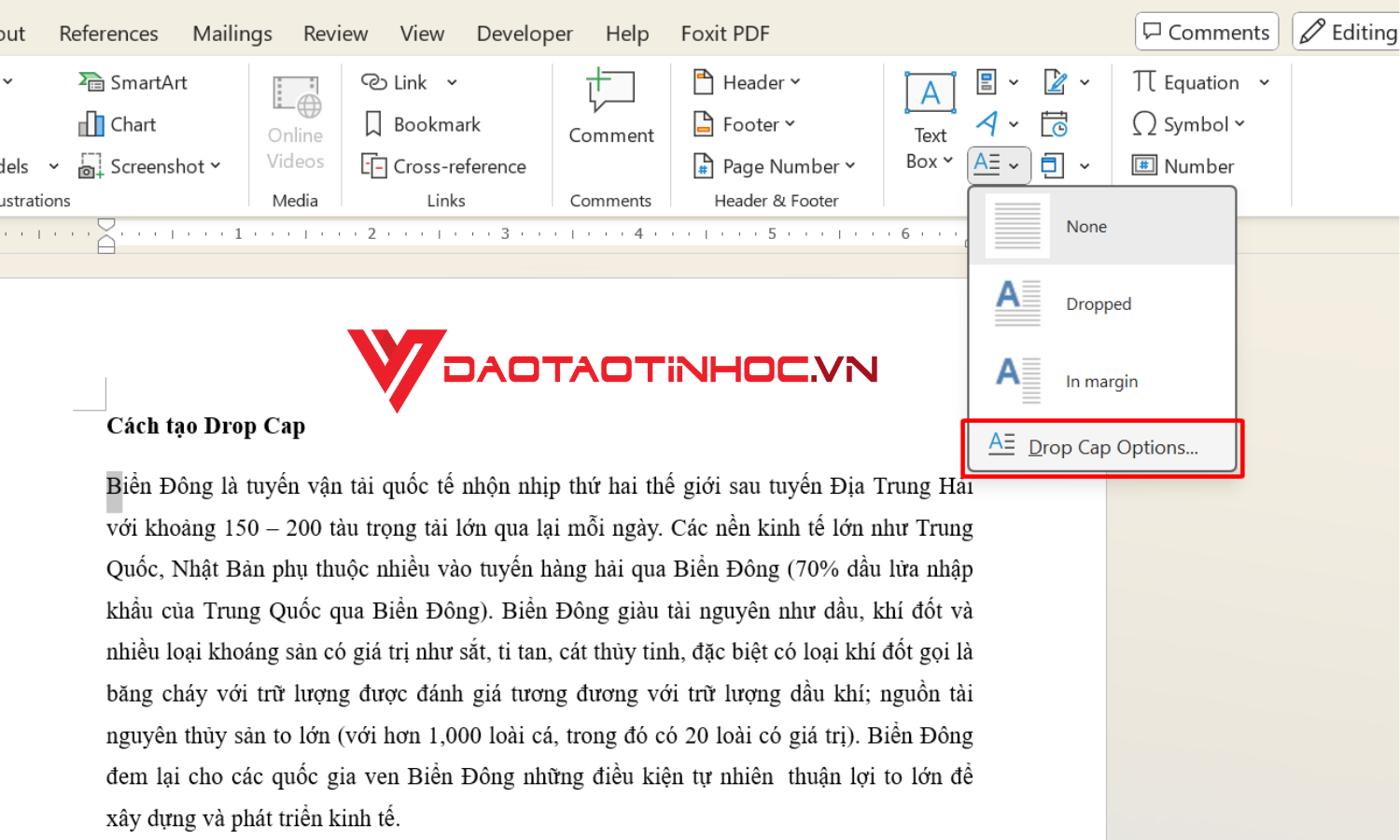 Chọn Drop Cap Options để điều chỉnh định dạng tùy ý
