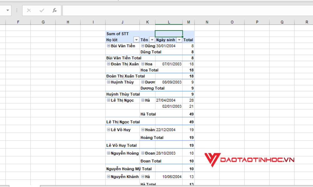Cách sử dụng Pivot Table - Kết quả