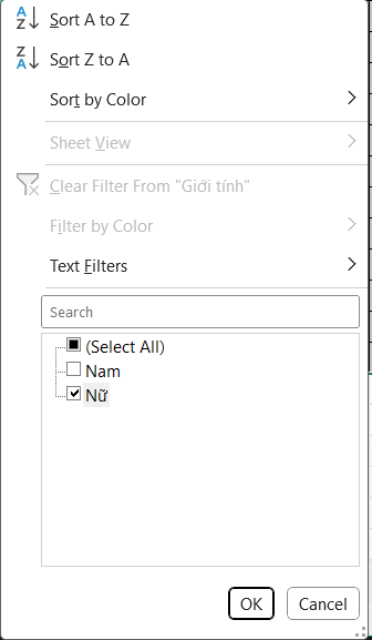 Cách dùng Autofilter trong Excel 1