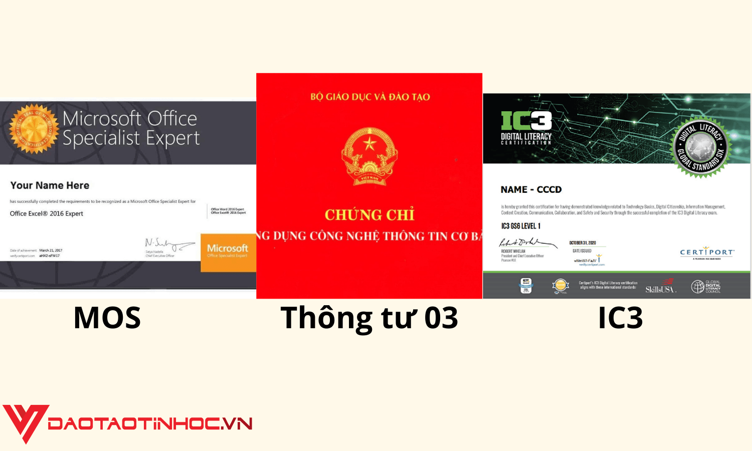Chứng chỉ tin học văn phòng là gì?