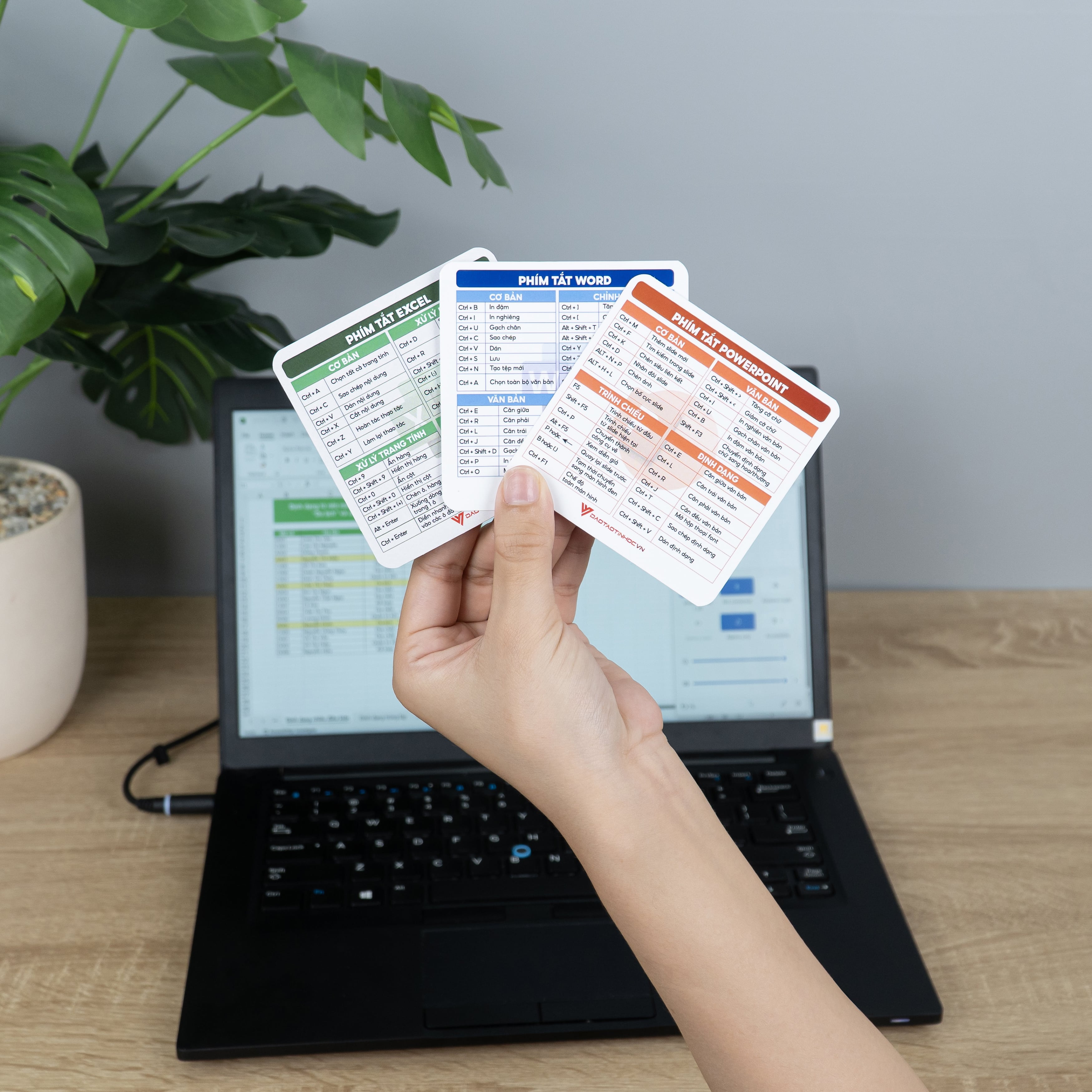 Nhãn Dán Phím Tắt Word, Excel, PowerPoint Thông Dụng