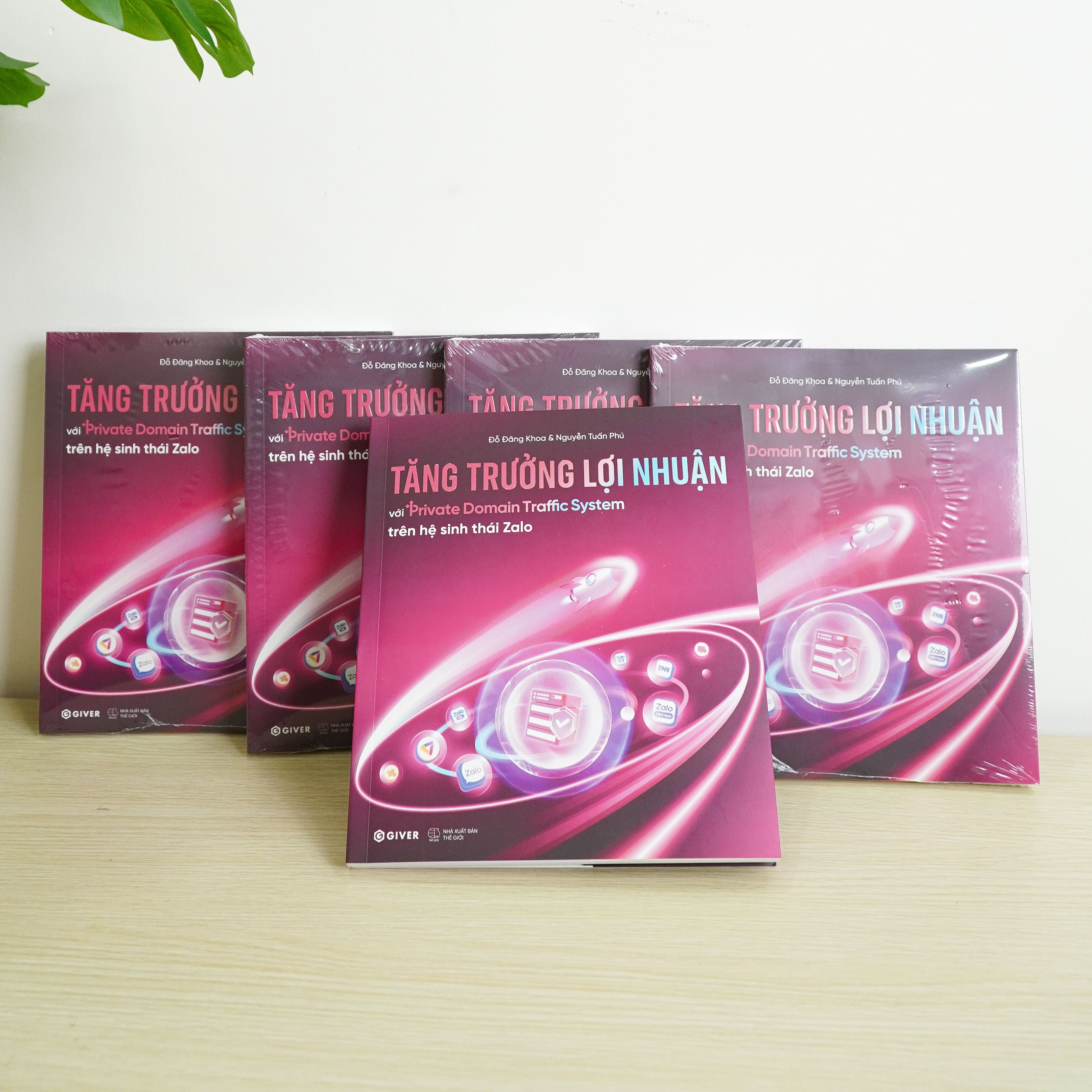 Sách Tăng Trưởng Lợi Nhuận Với Private Domain Traffic System Trên Hệ Sinh Thái Zalo