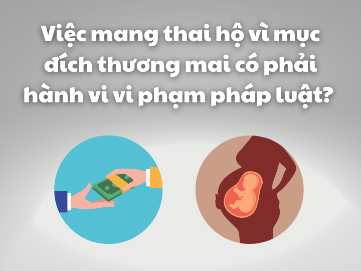 Việc mang thai hộ vì mục đích thương mại có phải hành vi vi phạm pháp luật? | Luật sư tư vấn | VietLawyer