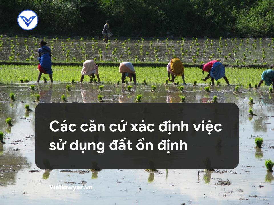 Các căn cứ xác định việc sử dụng đất ổn định