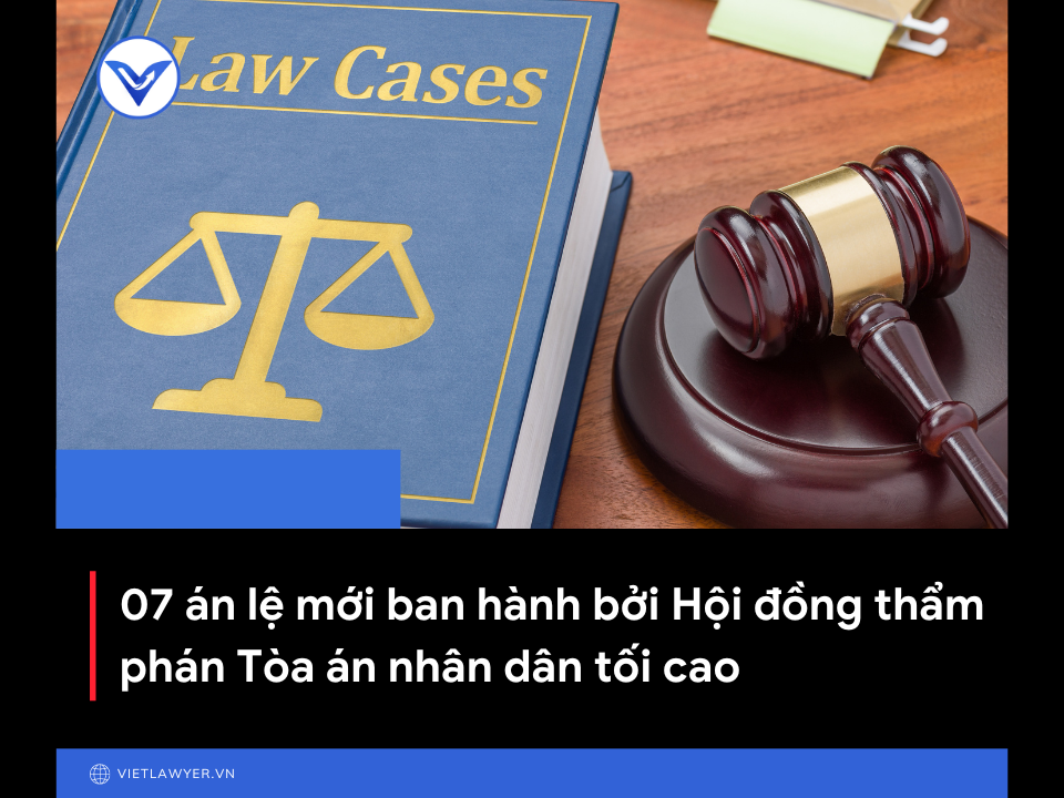 07 án lệ mới ban hành bởi Hội đồng thẩm phán Tòa án nhân dân tối cao | Án  lệ | VietLawyer