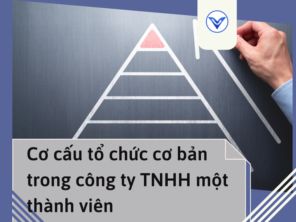 Cơ cấu tổ chức cơ bản trong công ty TNHH một thành viên