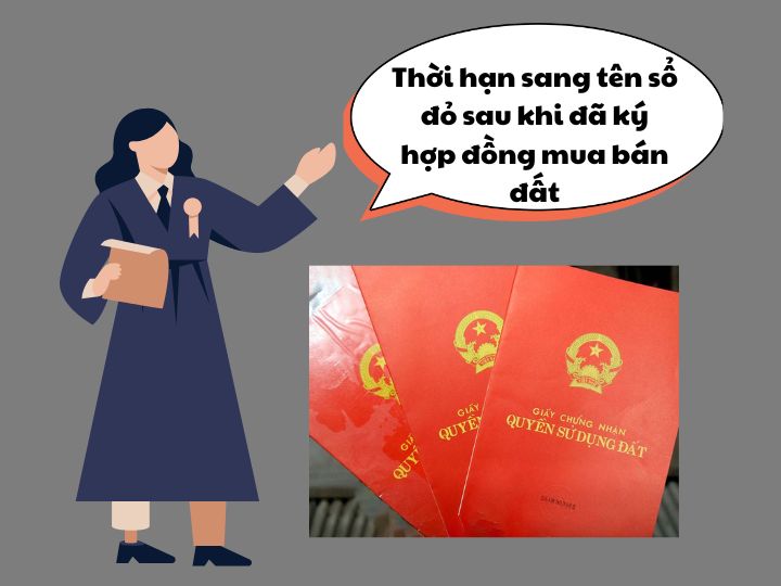 Thời hạn sang tên sổ đỏ sau khi đã ký hợp đồng mua bán đất | Luật sư Luật đất đai | VietLawyer
