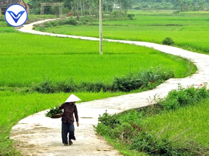 Soạn văn bài Đường về quê mẹ - Lớp 8 - Bộ sách Cánh diều