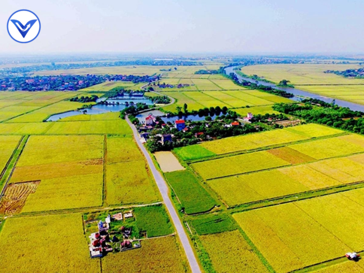 Xây nhà ở trên đất nông nghiệp có được bồi thường?